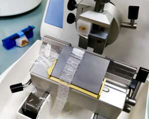 Microtome Laboratory Equipment Use and Maintenance