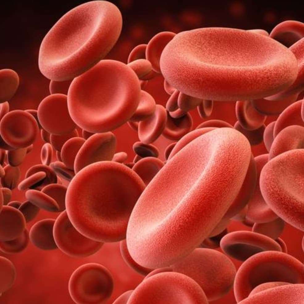 What is Erythropoiesis ?