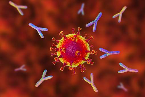 Antigen and Antibody Reaction