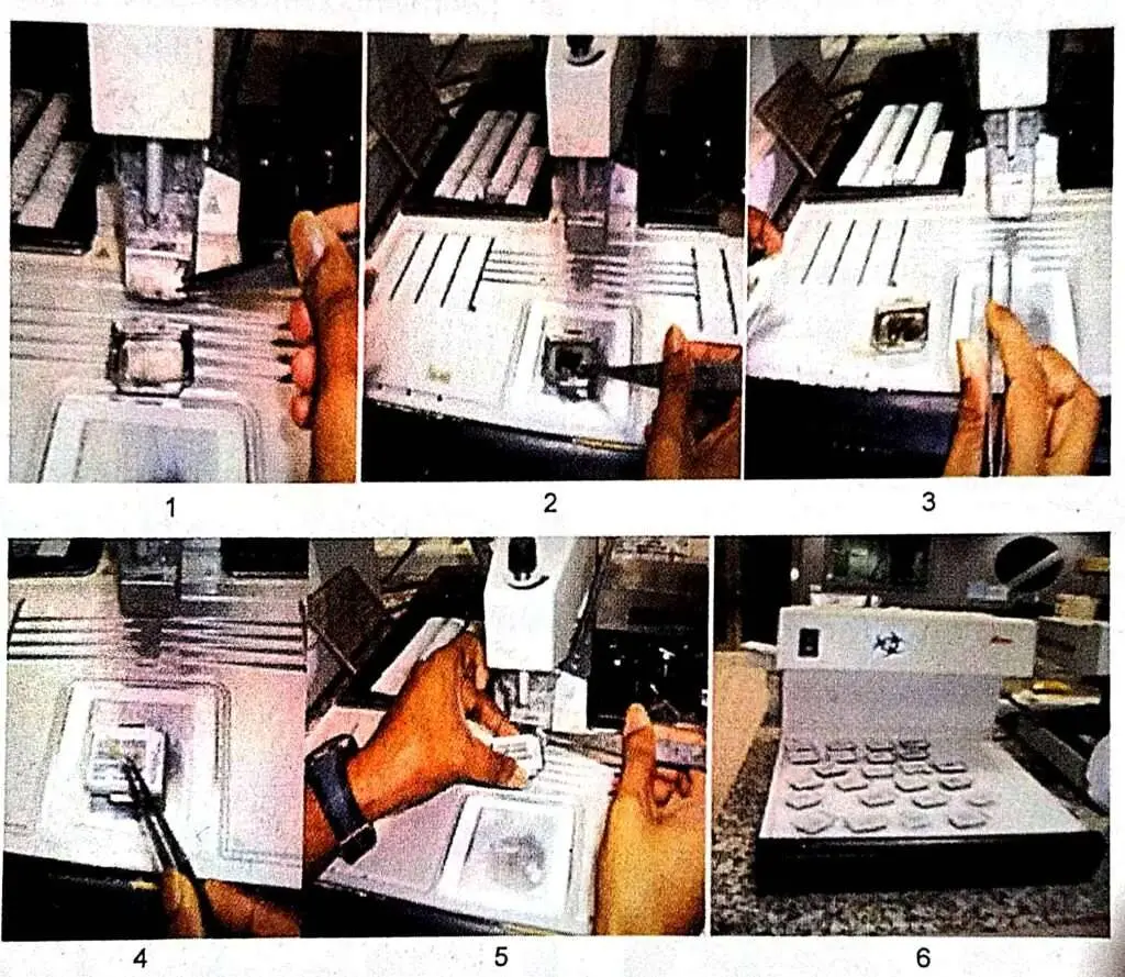 What is Embedding and Embedding Media?