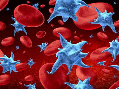 PLATELET COUNT ( PLT ) Blood