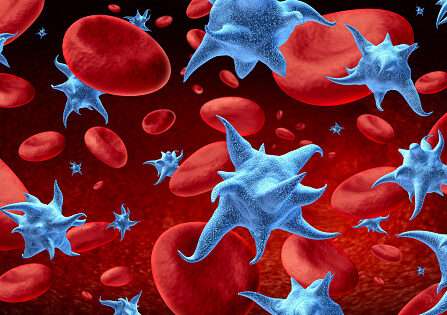 PLATELET COUNT ( PLT ) Blood