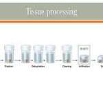 Tissue Processing