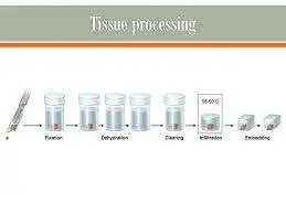 Tissue Processing