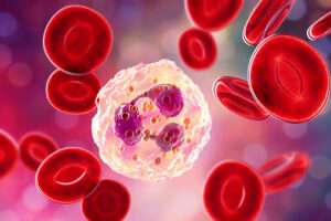 Total Leukocyte Count (TLC) Test