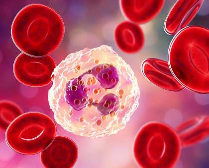 Total Leukocyte Count (TLC) Test