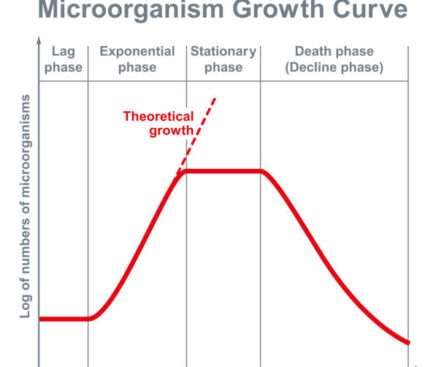 Growth and Nutrition of Microbes