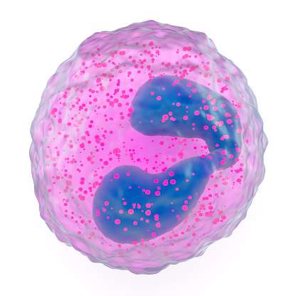 Absolute Eosinophil Count Test