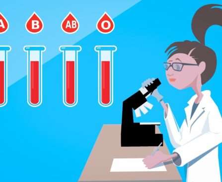 What is Cross Matching in Blood Bank