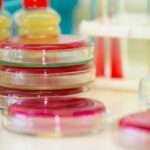 What is Culture Media in Microbiology