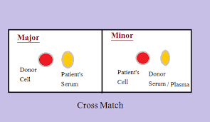 Cross Match